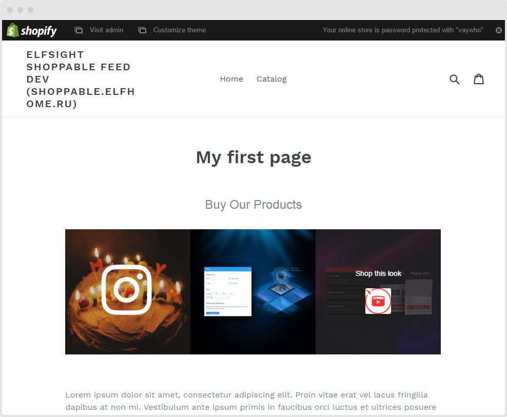 Shoppable Feed Example