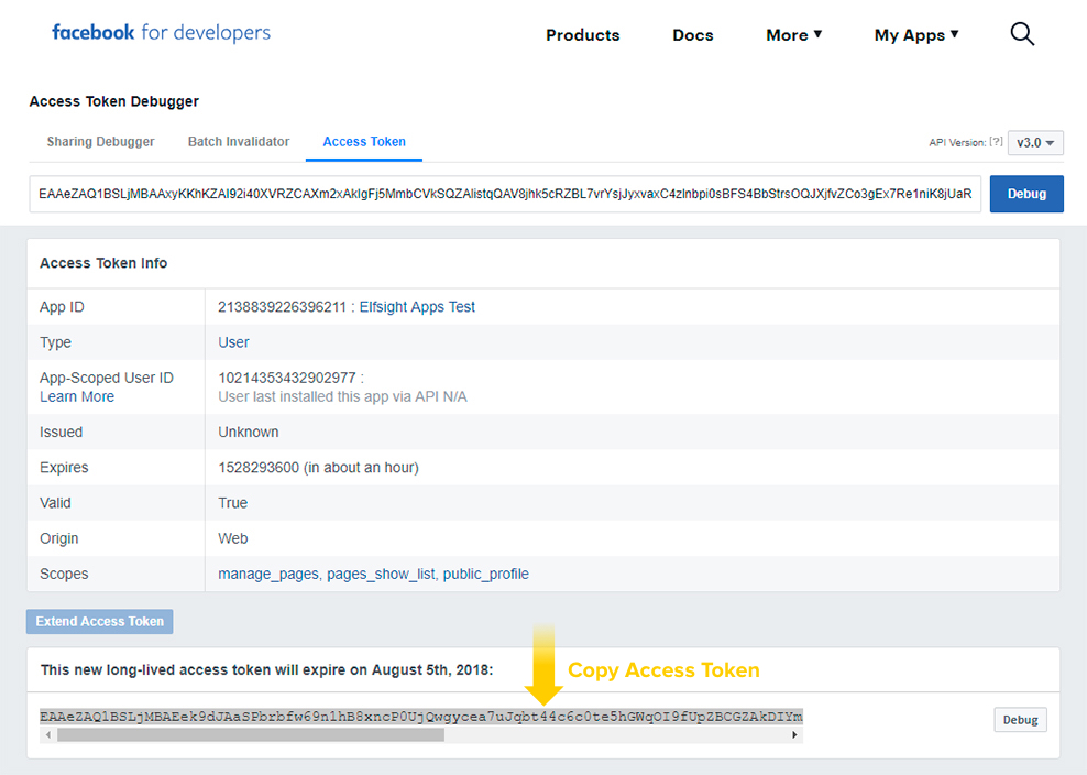 Copy Facebook Access Token