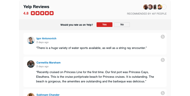 Display positive reviews on your services from Yelp on your website
