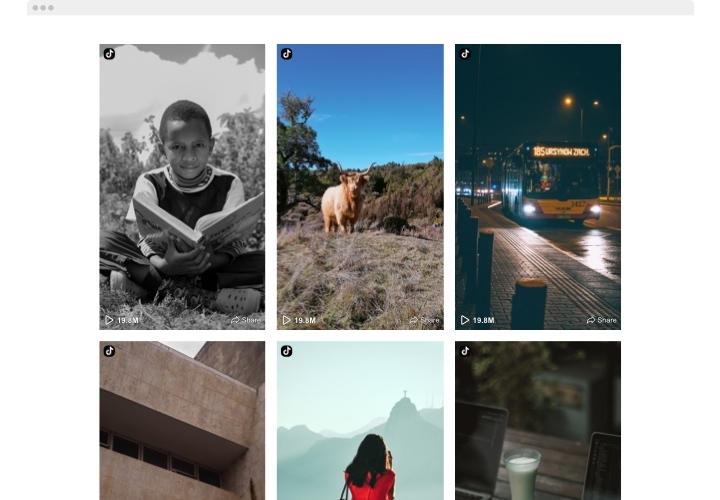 Shopify TikTok Feed app