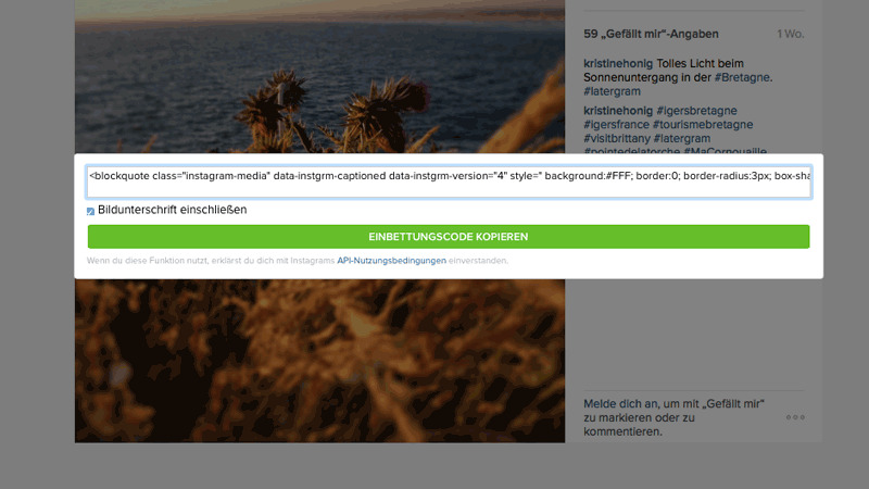 manuelles Einbetten von Instagram Post