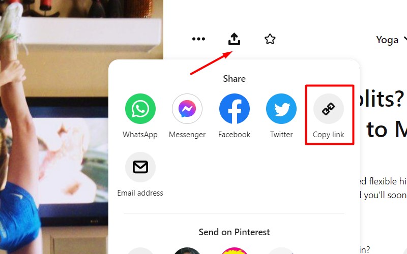 how to share pins on Instagram link in bio