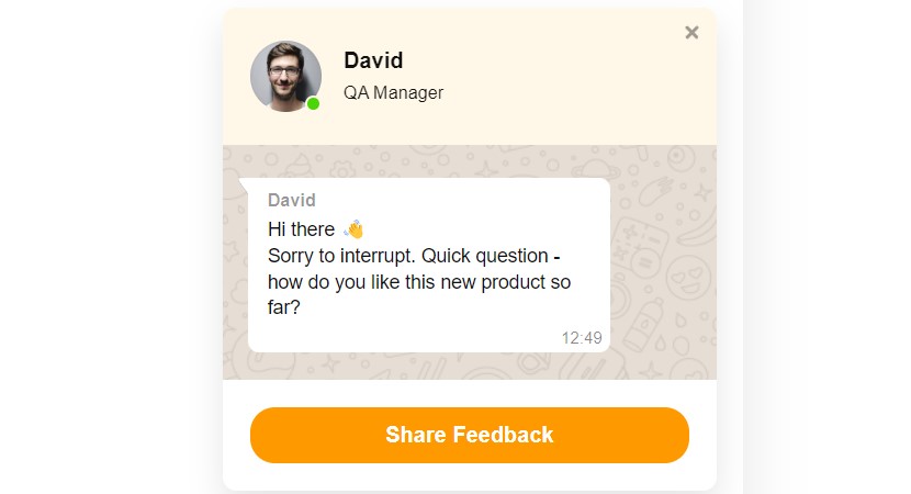 WhatsApp Chat for Wix example 5