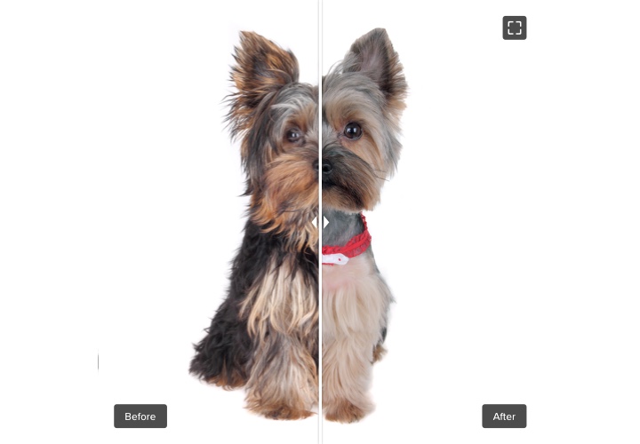 App Photos avant après pour Weebly